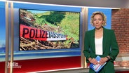 Christina von Saß moderiert Hallo Niedersachsen. © Screenshot 