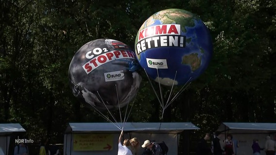 Eine Demonstration der Organisation Fridays for Future. © Screenshot 