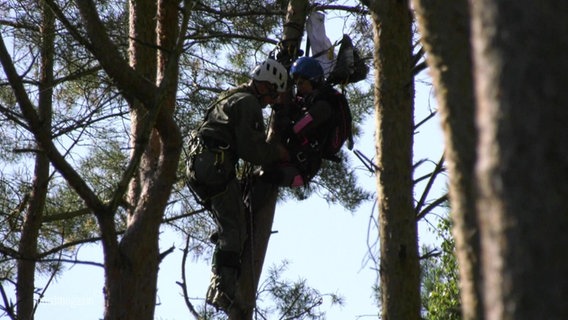 Eine Fallschirmspringerin wird aus einem Baum gerettet. © Screenshot 