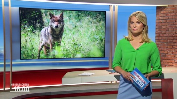 Kathrin Kampmann moderiert Niedersachsen 18:00 Uhr. © Screenshot 