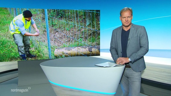 Thilo Tautz moderiert das Nordmagazin - Land und Leute. © Screenshot 