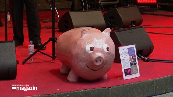 Ein Sparschwein auf einer Bühne. © Screenshot 