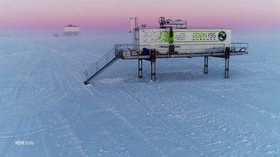 Das Antarktis-Gewächshaus "Eden ISS". © Screenshot 