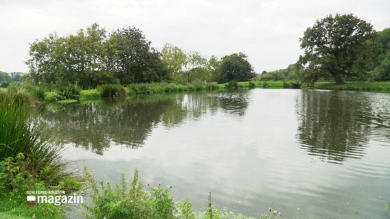 Blick auf ein größeren Teich an dessen Rand einige Bäume stehen. © Screenshot 