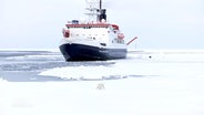 Ein Eisbär nähert sich einem Forschungsschiff in der Arktis. © Screenshot 