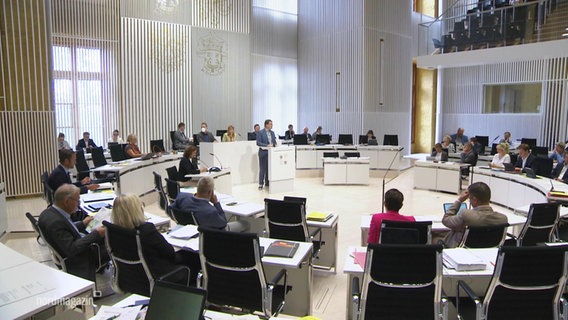 Der Landtag Mecklenburg-Vorpommerns. © Screenshot 