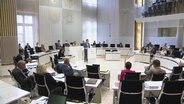 Der Landtag Mecklenburg-Vorpommerns. © Screenshot 