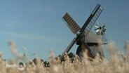 Eine alte Windmühle, im Vordergrund ein Getreidefeld. © Screenshot 