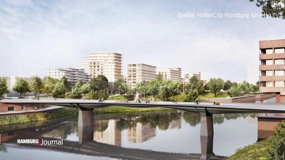 Visualisierung der Moldauhafenbrücke im neuen Hamburger Stadtteil Grasbrook. © Screenshot 