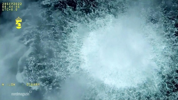 Ein Teppich von Blasen steigt aus dem Meer auf. © Screenshot 