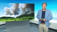Der Moderator Thilo Tautz. © Screenshot 