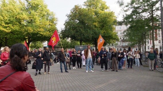 Demonstranten auf dem Hansaplatz in Hamburg. © Screenshot 
