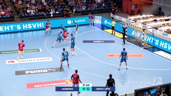 Handballspieler in einer Halle. © Screenshot 
