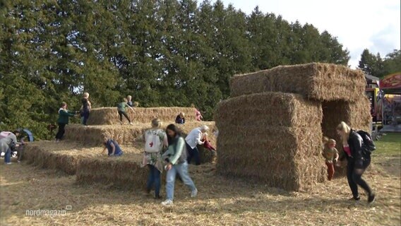 Menschen stehen auf und um Heuballen herum. © Screenshot 