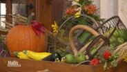 Verschiedens Gemüse dient zur Deko bei einem Erntedankfest. © Screenshot 