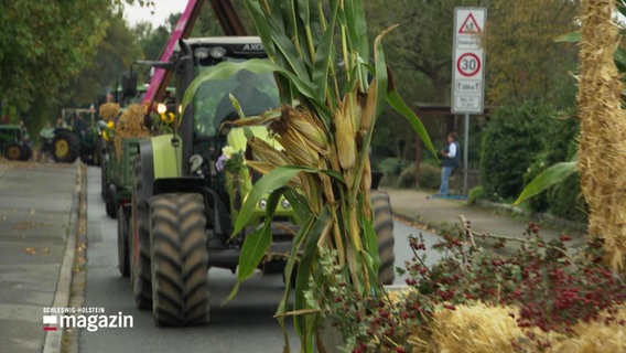 Mais- und Getreidepflanzen schmücken das hintere Teil eines Wagens. Dahinter fahren Traktoren. © Screenshot 