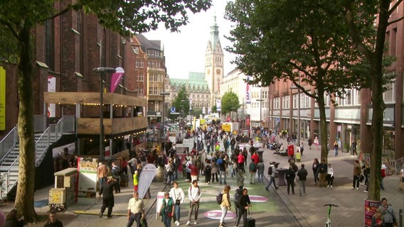 Szene von der Feierlichkeiten zum Tag der Deutschen Einheit in Hamburg. © Screenshot 