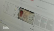 Bilder von Ausweisdokumenten auf einem Bildschirm. © Screenshot 