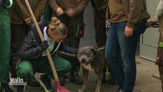 Menschen in Arbeitskleidung stehen um einen Hund an einer Kette versammelt. © Screenshot 