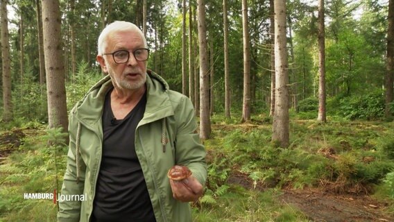 Der Pilzexperte Ingo Hartung. © Screenshot 
