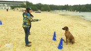 Eine Frau am Strand mit ihrem Hund, vor ihm ist ein Hindernis-Parkour aufgebaut. © Screenshot 