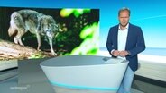 Thilo Thautz moderiert Land und Leute. © Screenshot 