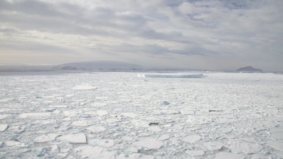 Antarktis: Ein Meer aus Eisschollen © Screenshot 