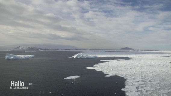 Blick auf einen Teil der Antarktis. © Screenshot 