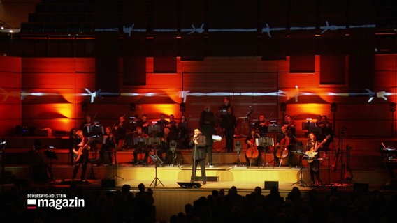 Alphaville mit Orchester auf der Bühne in Lübeck. © Screenshot 