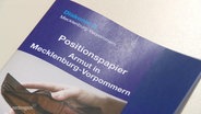Das Armutspositionspapier der Diakonie Mecklenburg-Vorpommern. © Screenshot 