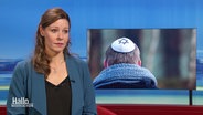 Rebecca Seidler vom Landesverband Liberale Jüdische Gemeinden im Interview bei Hallo Niedersachsen. © Screenshot 