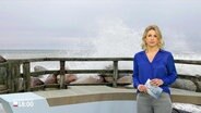 Eva Diederich moderiert das Schleswig-Holstein Magazin um 18:00 Uhr. © Screenshot 