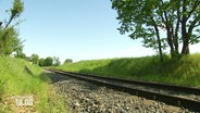 Leere Gleise einer stillgelegten Bahnstrecke © Screenshot 