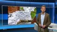 André Schünke moderiert NDR Info um 21:45 Uhr. © Screenshot 