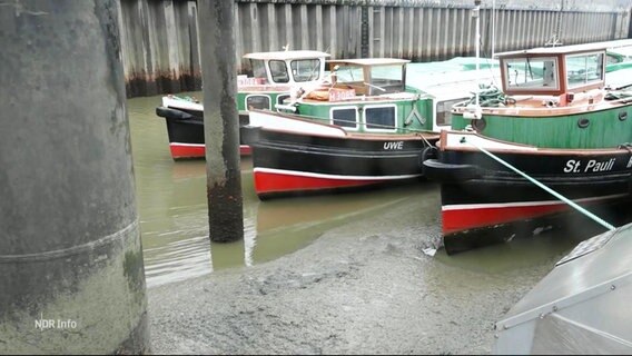 Meherere Schiffe sind in einem Hafen auf Grund gelaufen. © Screenshot 