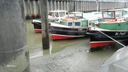 Meherere Schiffe sind in einem Hafen auf Grund gelaufen. © Screenshot 