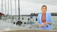 Eva Diederich moderiert Schleswig-Holstein 18:00. © Screenshot 