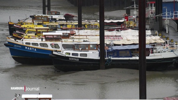 Schiffe im Hamburger Hafen liegen auf dem Trockenen. © Screenshot 