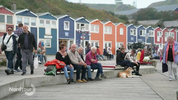 Am Hafen von Helgoland sitzen viele Touristen vor bunten Holzbuden. © Screenshot 
