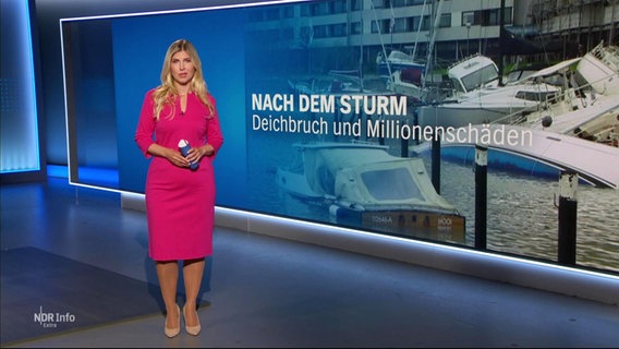 Bibiana Barth moderiert das NDR Info extra: Nach dem Sturm am 21.10.2023. © Screenshot 