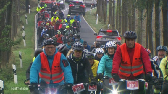 Teilnehmende am Radsport-Event Tour d' Allee fahren über eine Allee. © Screenshot 