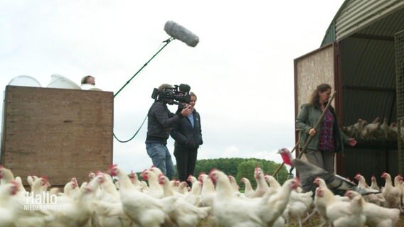 Eine Frau wird auf ihrem Hof von einem Kamera-Team gefilmt. © Screenshot 