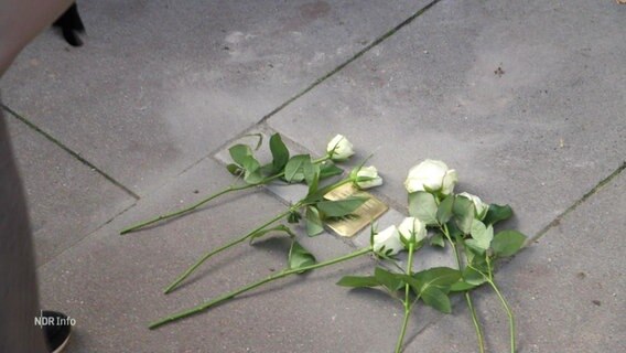 Weiße Rosen liegen auf einem Stolperstein. © Screenshot 