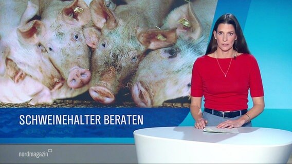 Nachrichtensprecherin Martina Schelle, neben ihr ein Foto von Schweinen in einem Stall, darunter die Unterschrift: "Schweinehalter beraten". © Screenshot 