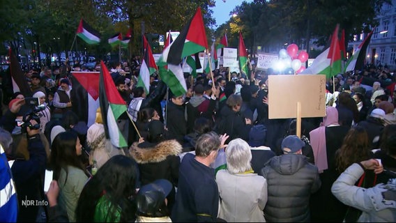 Szenen von der pro-palästinensischen Demonstration in Hamburg: Menschen mit Plakaten, Luftballons und Palästina-Flaggen. © Screenshot 
