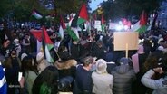 Szenen von der pro-palästinensischen Demonstration in Hamburg: Menschen mit Plakaten, Luftballons und Palästina-Flaggen. © Screenshot 