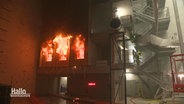 Brandversuchsanlage an der TU Braunschweig mit kontrolliert gelegtem Feuer zur Übung. © Screenshot 