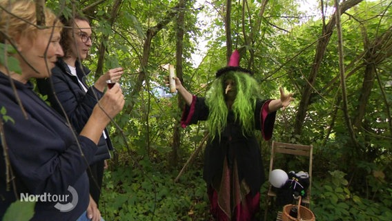 Eine als Hexe verkleidete Frau mit einer grünen Langhaar-Perücke streckt theatralisch die Arme aus in einem Wald. © Screenshot 