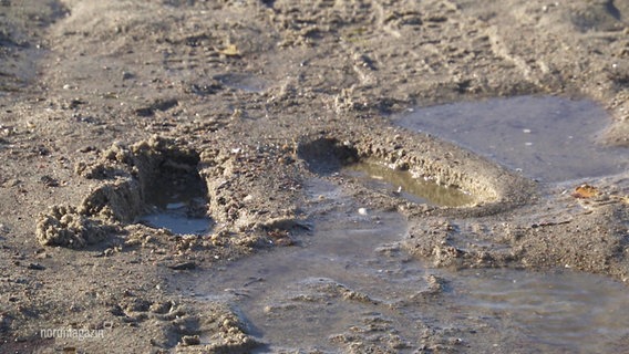 Fußspuren im Sand. © Screenshot 