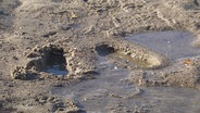 Fußspuren im Sand. © Screenshot 